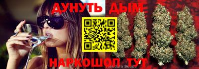 гашик Ставрополь
