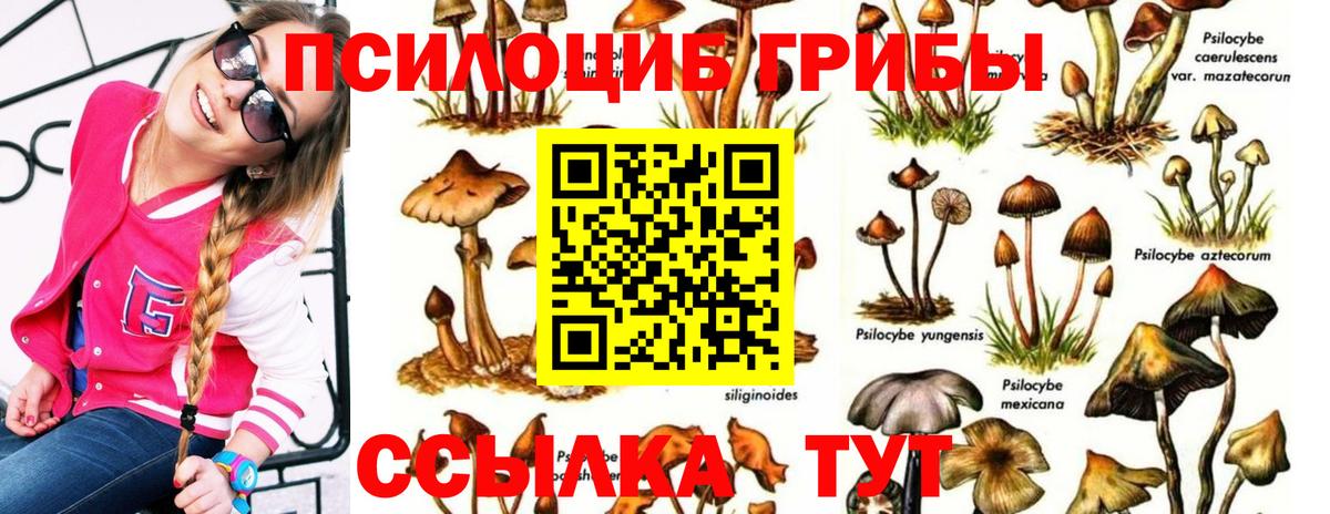 Омск  Псилоцибиновые грибы Cubensis  Вход с VPN 