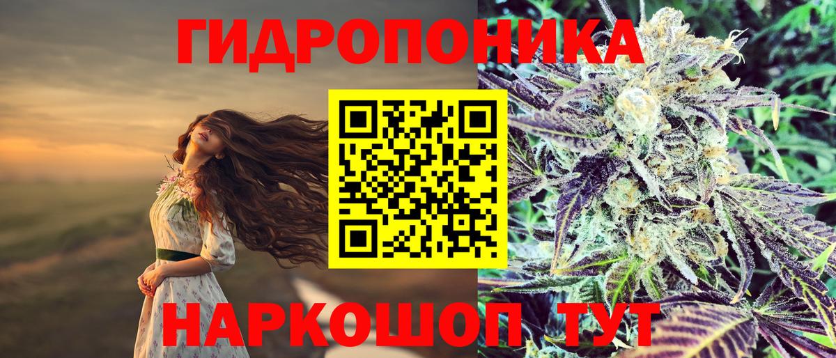 Канабис OG Kush Омск